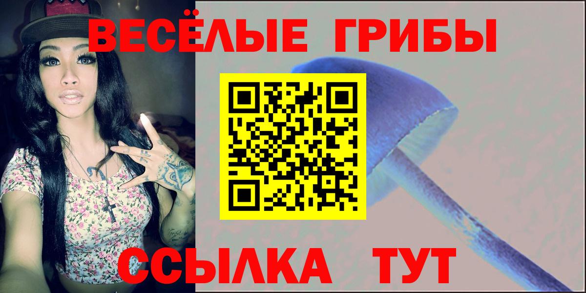 Кимовск  Псилоцибиновые грибы мицелий  Вход с VPN 